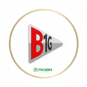 B1g IPTV Reseller Program